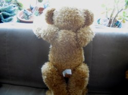 bear red_04